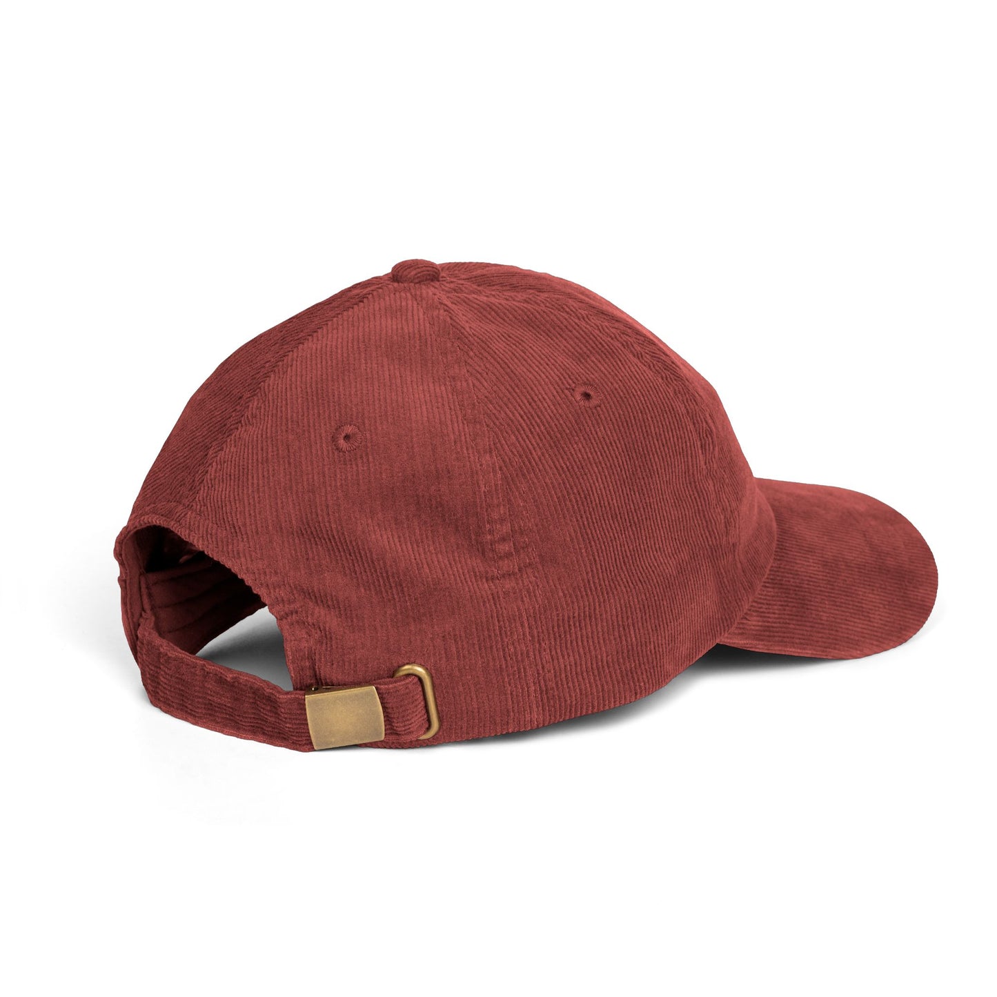 Copper Tongue Vintage Cap - maidenless3
